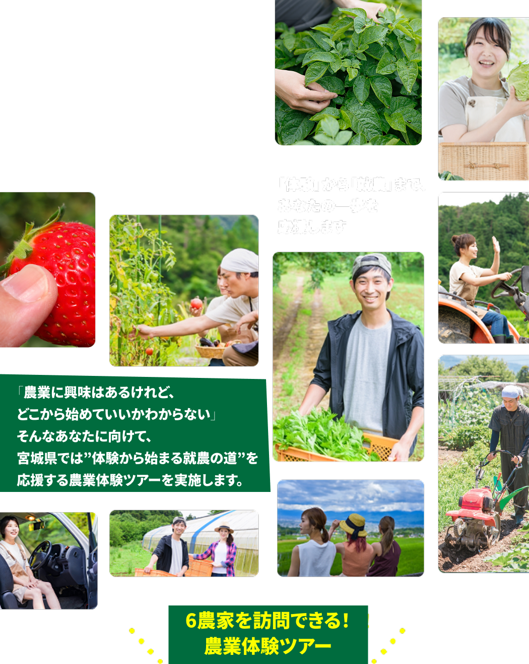 「体験」から「就農」まで、あなたの一歩を応援します
