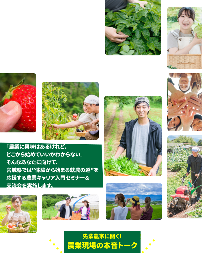 「体験」から「就農」まで、あなたの一歩を応援します