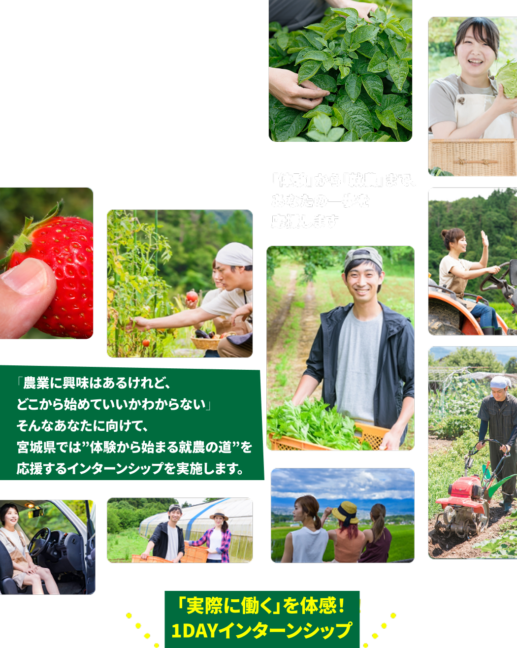 「体験」から「就農」まで、あなたの一歩を応援します