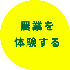 農業体験