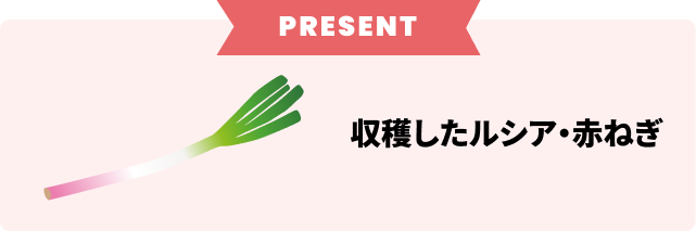 プレゼントp