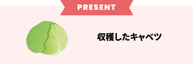 プレゼント