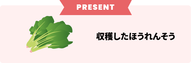 プレゼント